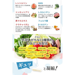 男性支援サプリメント SoDaNe 蘇種